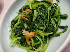邹山腐皮鸡毛菜-竹外桃花·江南小酒馆(SKP·S店)