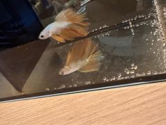 -御海8号温泉酒店