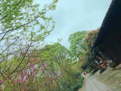 -法云古村