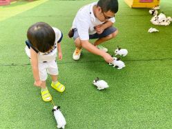 -萌宠亲子动物乐园(槐房万达店)