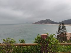 -广东惠东海龟国家级自然保护区