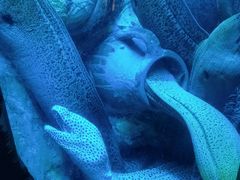 -太平洋海底世界