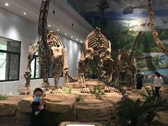 -自贡恐龙博物馆