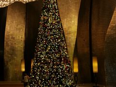 -广州天河希尔顿酒店