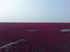 -红海滩国家风景廊道