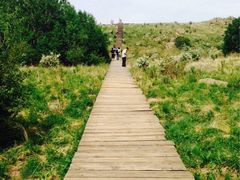 iphone_upload_pic-白草畔自然风景区