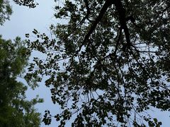 -郑州植物园