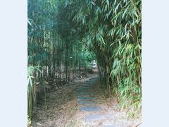 -堤角公园