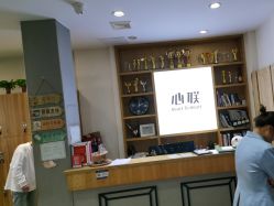 -心联形象设计·流星染