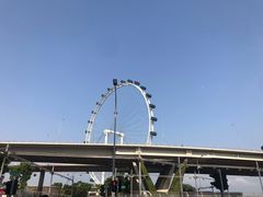-新加坡摩天观景轮