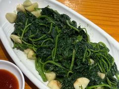 -九道菜有鸡鱼头(石鼓路店)