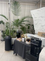-BOF HAIR BY HONTO
