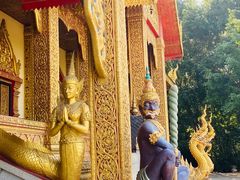 -西双版纳勐泐文化旅游区