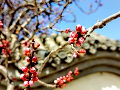 -鹫峰国家森林公园