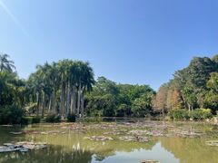 -中国科学院西双版纳热带植物园
