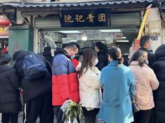 -沈记青团