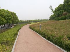 -苏州湾体育公园