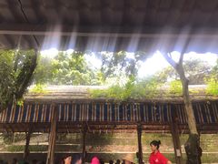 -满記土窑烧鷄波浪山莊