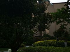 -上海崇明金茂凯悦酒店