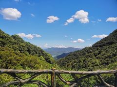 -梧桐山风景名胜区