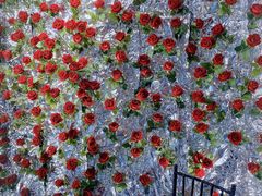 -西安电影制片厂