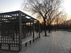 -望湖公园