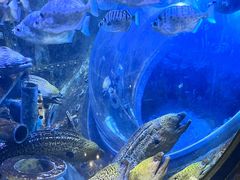 -成都浩海立方海洋公园