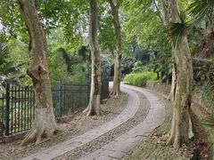 -紫金山天文台