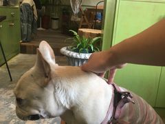 -六区宿舍咖啡店