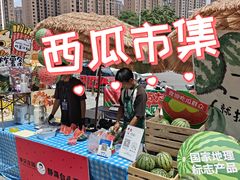 -鹏欣水游城