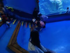 -多彩贵州城极地海洋世界