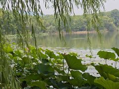 -江南大学(蠡湖校区)