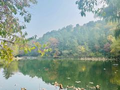-香山公园