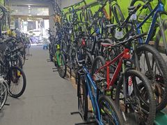 -道路口单车爱瓦士dahon大行