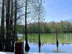 -尚湖风景区