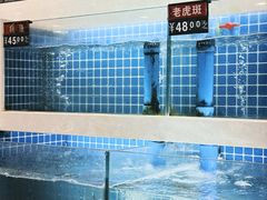 -渔家乐小海鲜(皇姑店)