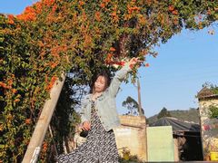 -汕头莲花山度假村温泉
