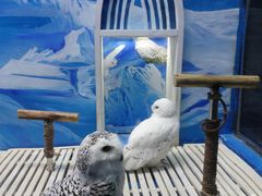 -成都浩海立方海洋公园