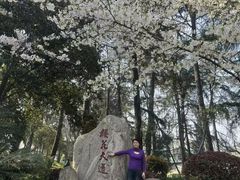 -武汉大学-樱园