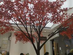 -艾薯夫妇Aysh(福田星河COCOPark店)