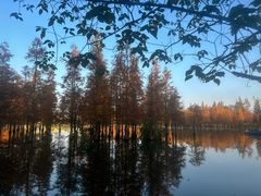 -白鹭湾湿地公园