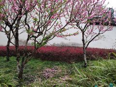 -乌山风景区