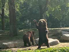 -北京野生动物园