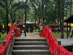 -洛阳白云山景区