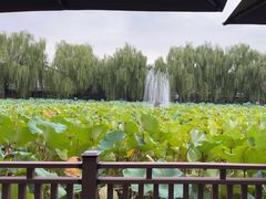 -风渡嘉荷西餐厅 Windy City(西三旗金隅店)
