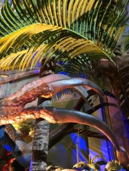 -恐龙探索乐园(磁器口店)