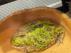 -上海昆虫博物馆