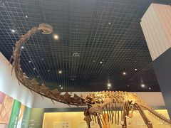 -衢州市博物馆