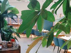 -悦海·家宴·冰花皮皮虾大锅贴(宝龙店)