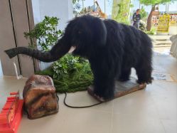 -IMON·HANSA潮玩玩偶毛绒玩具(通州万象汇店)